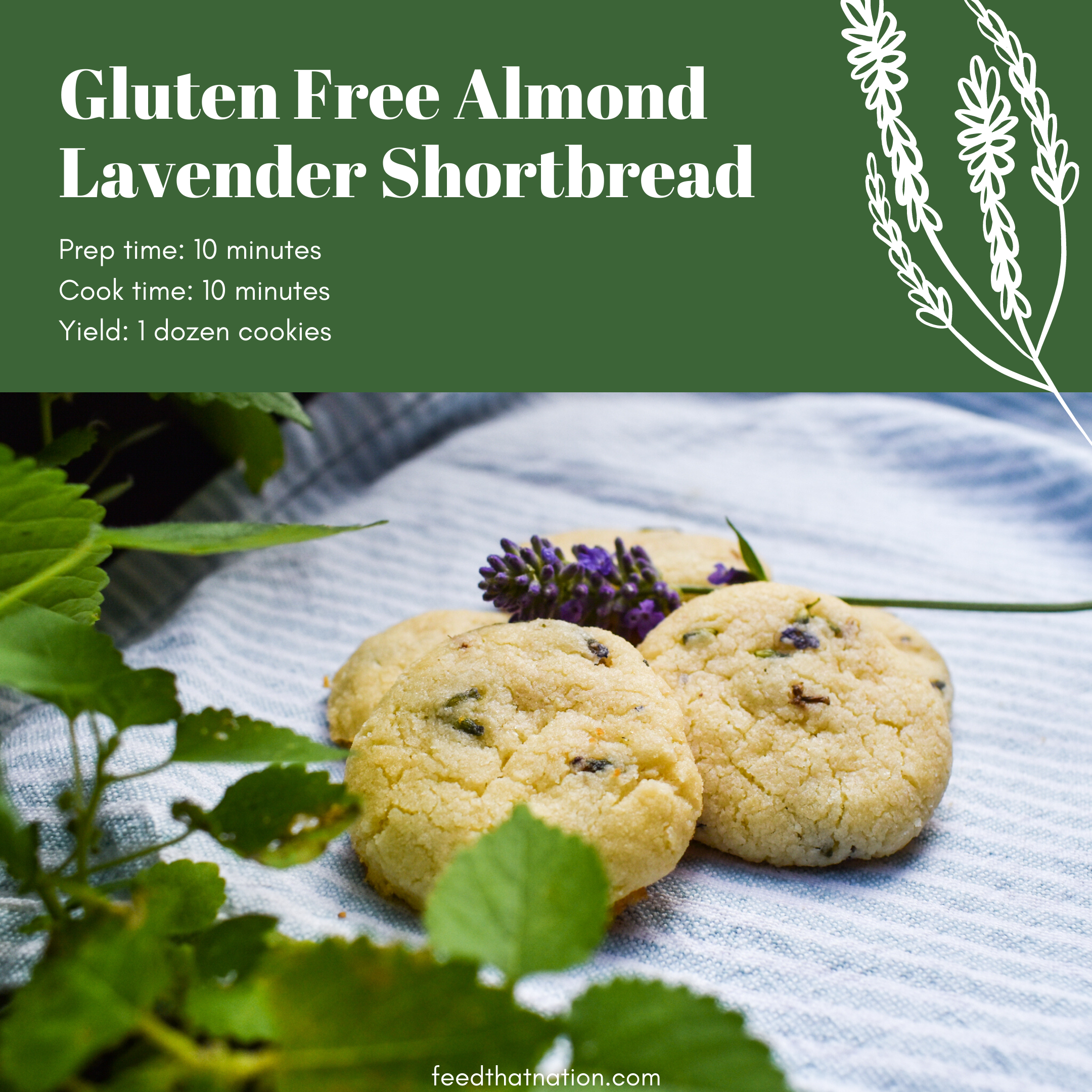 Gluten Free English Lavender Shortbread - Glutarama